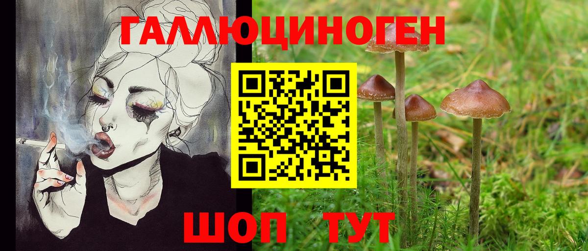 Дюртюли  Галлюциногенные грибы Psilocybine cubensis  Вход с VPN 